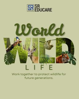 Every species matters. Every action counts. This World Wildlife Day, be the voice for those who cannot speak. 🌍🦁
#WorldWildlifeDay #WildlifeConservation #SaveOurPlanet #NatureMatters #sreducare
